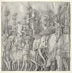 Caesars triumfer: elefanterna, ca. 1485-1490.