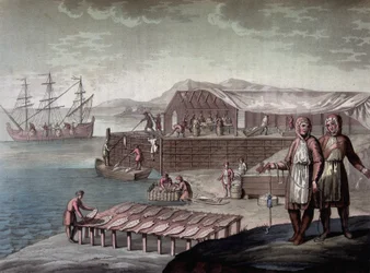 Torskfiske gjort av invånarna i Newfoundland - i "" Le costume ancien et moderne"" av Ferrario, red. Milano