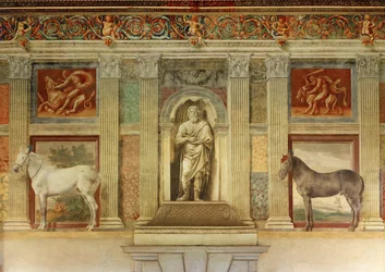 Sala grande dei cavalli, med freskomålningar av Gonzagas favorithästar ... (freskomålning)