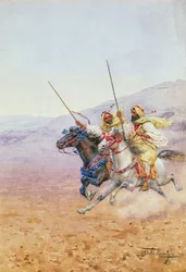 Över öknen (wc)