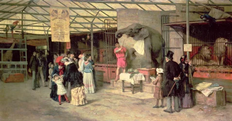 På zoo