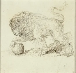 Lejon med boll
