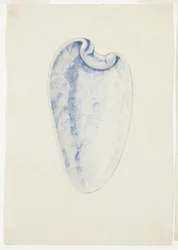 Översikt över Lavender Elongated Shell