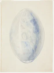 Översikt över Oval Shell Stone