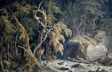Stenigt landskap med träd uppryckta, av Giuseppe Pietro Bagetti (1764-1831).