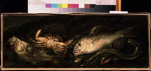 "Stilleben med fisk och krabba" målning av Giuseppe Recco (1634-1695) Mikhail Kroshitsky Art Museum, Sevastopol (Sevastopol) Ukraina