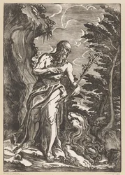 Saint Hieronymus i vildmarken