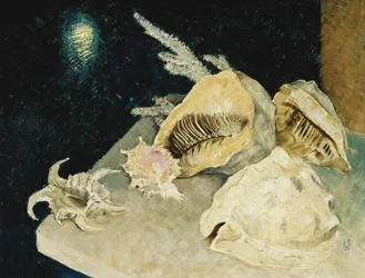 Skal