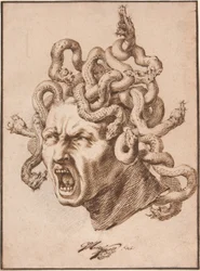 Chef för Medusa