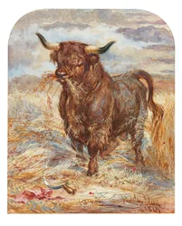 Den triumferande tjuren (akvarell)