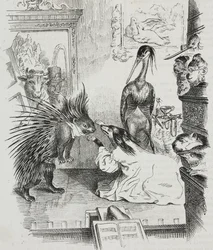 Hund och piggsvin, karikatyr av Jean-Jacques Grandville (1803-1847), litografi av Giovanni Mariani från Poliorama Pittoresco, n 38, 30 april