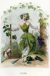 Illustration för "Les Fleurs Animees
