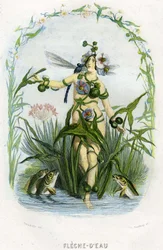 Illustration för "Les Fleurs Animees