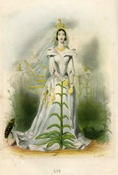 Illustration för "Les Fleurs Animees