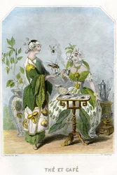 Illustration för "Les Fleurs Animees