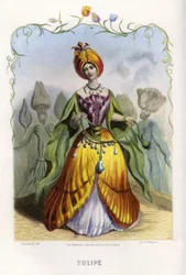 Illustration för "Les Fleurs Animees
