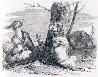 Åsnan och hunden (L