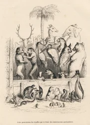 Samtal mellan djur. Miniatyrer illustrerade av JJ Granville. Gravyr signerad Breviere i prologen med titeln "Parlamentary Summary" skriven av PJ Stahl i "Scener ur djurens privata och offentliga liv". Paris, J. Hetzel och Paulin