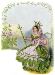 Illustration för "Les Fleurs Animees