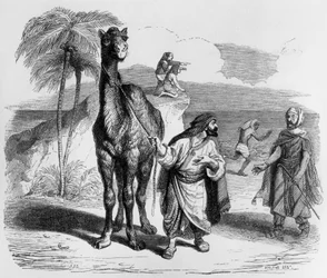 La Fontaines fabel (av Jean de La Fontaine): Kamelen och de flytande pinnarna, gravyr av J.J. Grandville, ca 1838-40