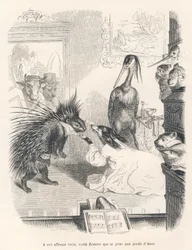 Opera med ett piggsvin, en hund och en häger på scenen. Vinjetter illustrerade av JJ Granville. Gravyr signerad Godard i delen med titeln "Den första pistolserien" skriven av Jules Janin i "Scener av djurens privata och offentliga liv".