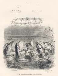 Omgång av vattendjur och trollsländor. Miniatyrer illustrerade av JJ Granville. Gravyr signerad Andrew, Best och Leloir i delen med titeln "Memories of an old crow" skriven av PJ Stahl i "Scener från djurens privata och offentliga liv". P