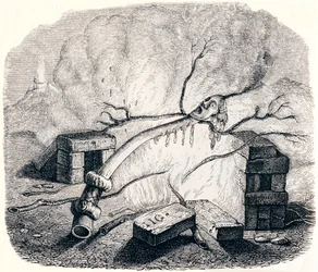 Ljuset - Fables av La Fontaine