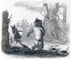 Katten och råttan (Le chat et le rat) - Fabler av La Fontaine