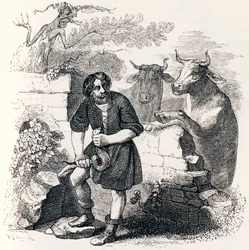 Mannen och ormen - Fables av La Fontaine