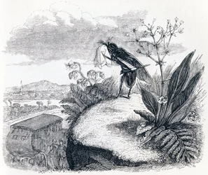 Fästingen och flugan - Fables av La Fontaine