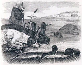 De två hundarna och den döda åsnan - Fables av La Fontaine