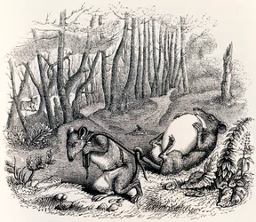 De två råttorna, räven och ägget - Fables av La Fontaine