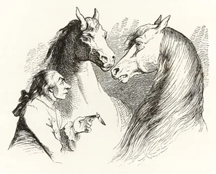 Gulliver samtalar med talande hästar i houyhnhnmernas land ur Gullivers resor av Jonathan Swift