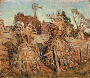 Majsfältet