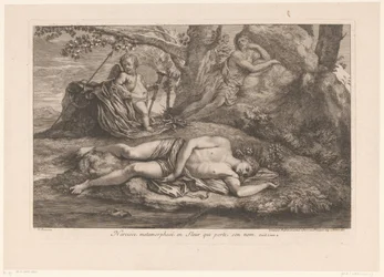 Narcissus i Echo Narcissus förvandlas till en blomma som bär hans namn (titel på objekt)