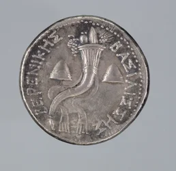 Silverdidrakma från Berenice II (silver) (se även 293751)
