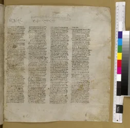 Codex Sinaiticus (vellum)