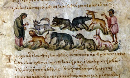 Vilt: djuren du kan jaga - i "" De Venation""" e av Oppianus, grekiskt manuskript från 1200-talet.