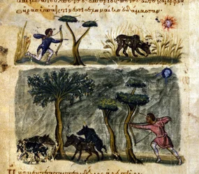 Jagar vildsvin efter det grekiska manuskriptet av Oppianus De Venatione 1200-talet.