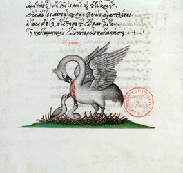 Ms 3401 A Pelican Piercing itsbrast to feed its young, from a bestiary av Manuel Philes, 1566