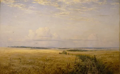 De mjuka fälten, 1892