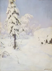 Vinter i skogen
