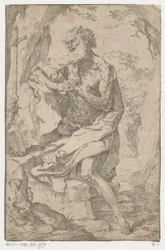 Saint Hieronymus i vildmarken