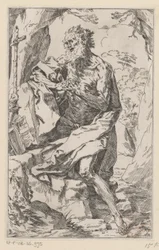 Saint Hieronymus i vildmarken