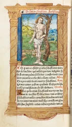Tryckt timbok (användning i Rom): fol. 102v, S:t Sebastian