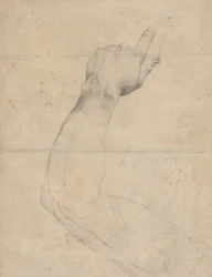 Studie av en arm [verso]