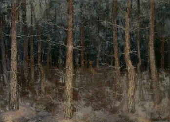 Mystiska stigar, Utsikt över skog