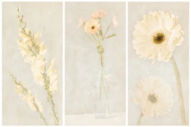 Triptyk med blekta blommor