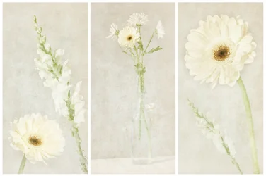Mjuka vita blommor