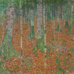 Björkskogen